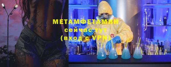 ГАЛЛЮЦИНОГЕННЫЕ ГРИБЫ Богданович