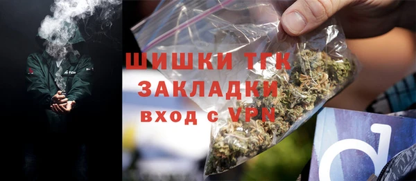 ГАЛЛЮЦИНОГЕННЫЕ ГРИБЫ Богданович