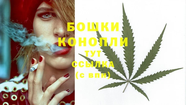 стаф Богородск