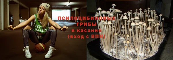 ГАЛЛЮЦИНОГЕННЫЕ ГРИБЫ Богданович