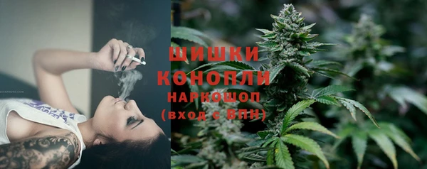 стаф Богородск