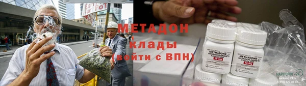 ГАЛЛЮЦИНОГЕННЫЕ ГРИБЫ Богданович