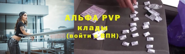 стаф Богородск