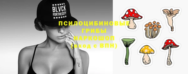 винт Богородицк