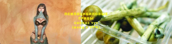 стаф Богородск