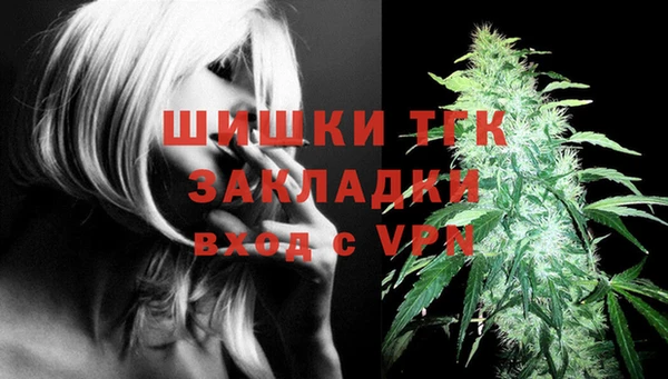 винт Богородицк