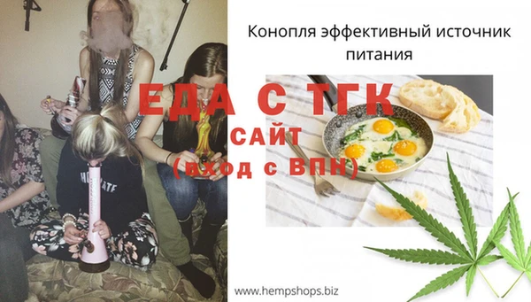 ГАЛЛЮЦИНОГЕННЫЕ ГРИБЫ Богданович