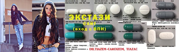ГАЛЛЮЦИНОГЕННЫЕ ГРИБЫ Богданович