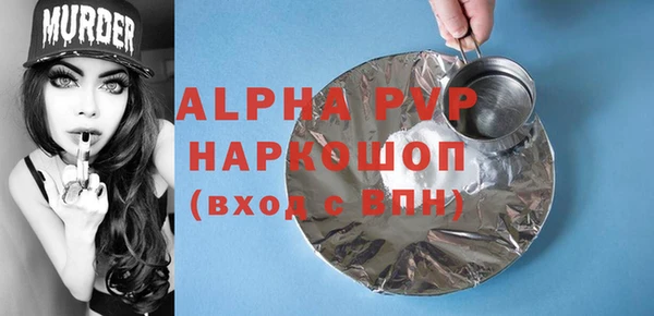 ГАЛЛЮЦИНОГЕННЫЕ ГРИБЫ Богданович